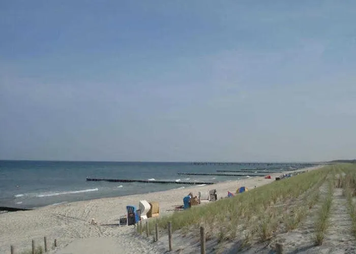 Windrose 26 - Am Rhododendronpark